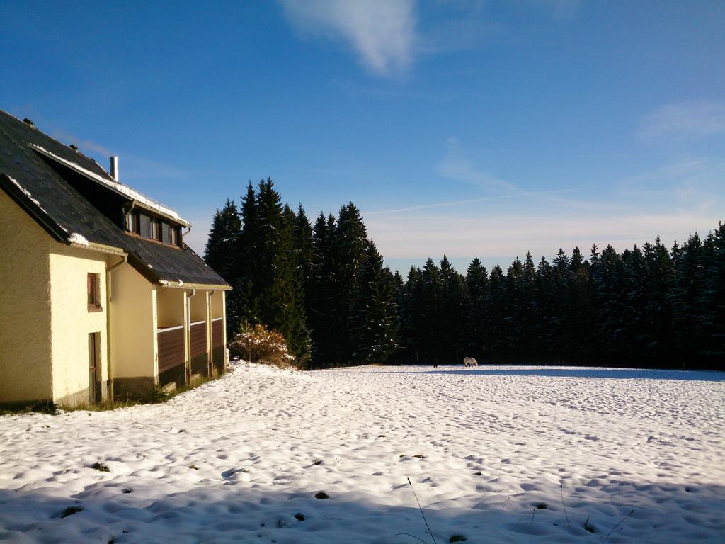 Waldhotel Zoebischhaus Bad Reiboldsgruen Exterior photo